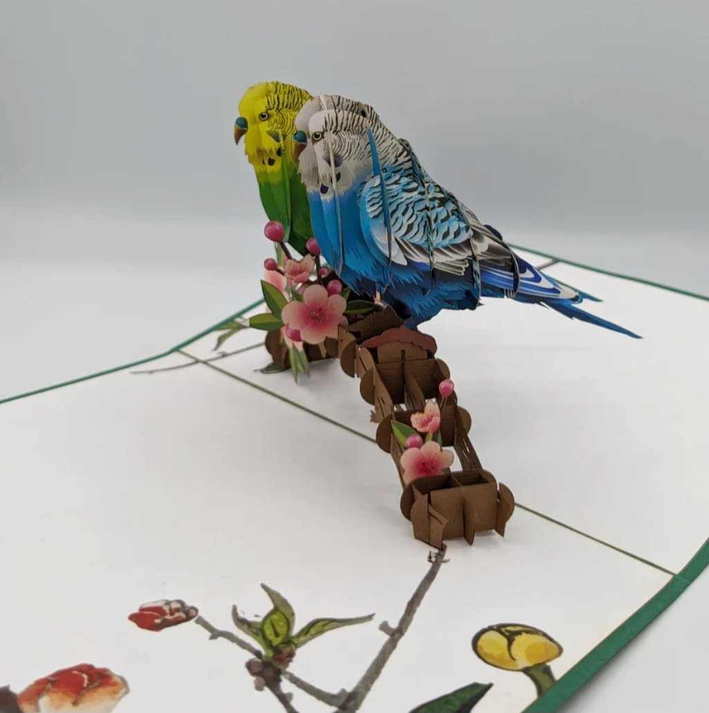 Lovely Birds _ Pop Up Cards